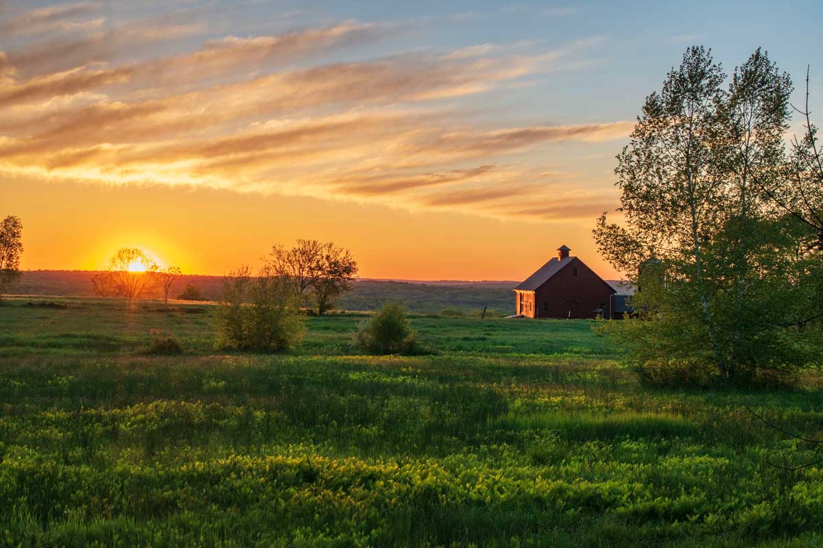 USDA Loan